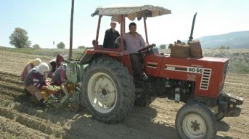 Selendi&rsquo;de T&uuml;t&uuml;n &Uuml;reticisinin Tatlı &Ccedil;ilesi Başladı