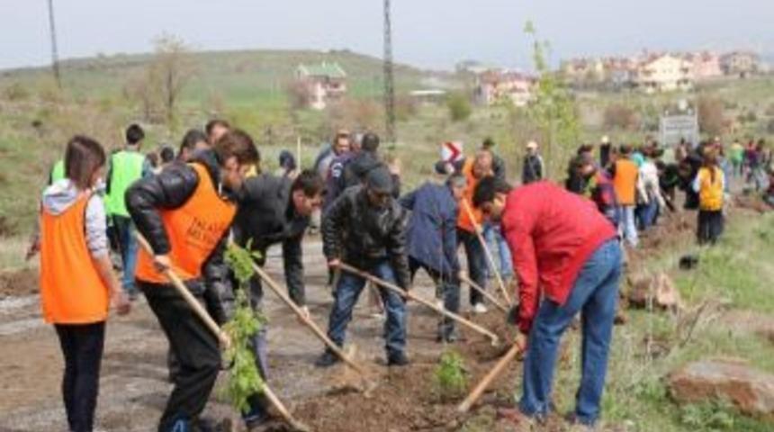 Talas'ta 750 Fidan Toprakla Buluştu