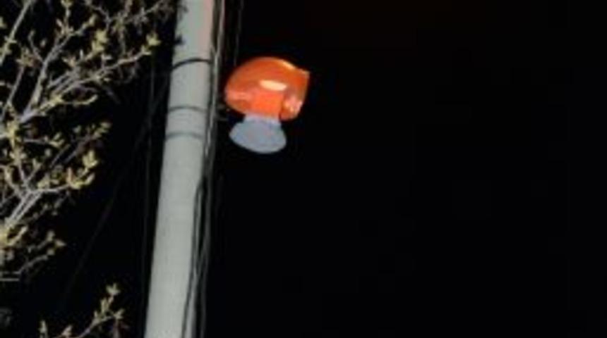 Isparta&rsquo;da Larva İstasyonu Kuruldu