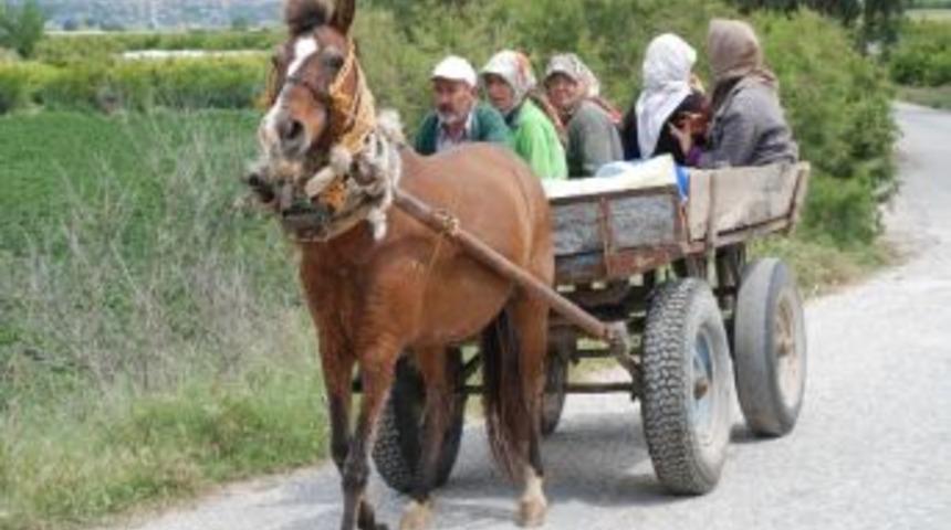 K&ouml;ylerde At Arabaları Hala Rağbet G&ouml;r&uuml;yor