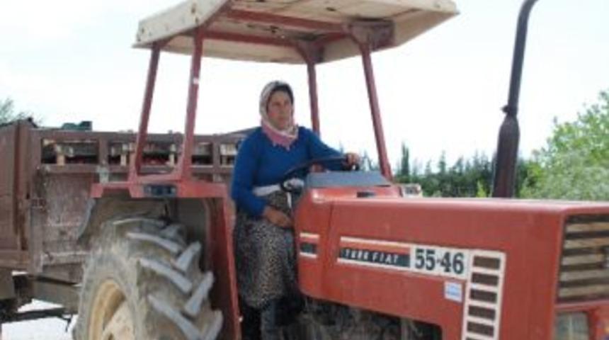 Silifke&rsquo;nin K&ouml;ylerinde Kadın &Ccedil;ift&ccedil;iler D&ouml;nemi