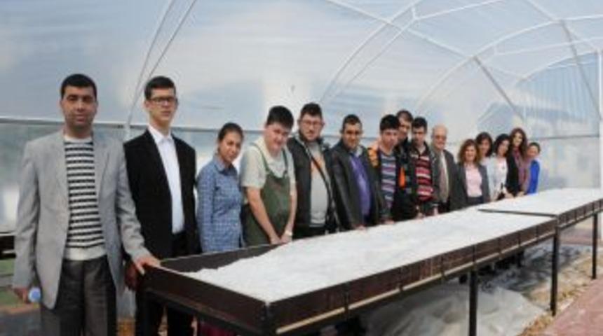 Engelliler Bah&ccedil;ıvanlığı &Ouml;ğrenerek Hayata Tutunacak