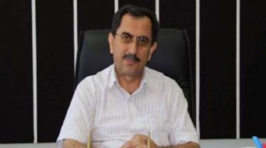 &Ccedil;if&ccedil;iye 700 Kivi Fidanı Dağıtılacak