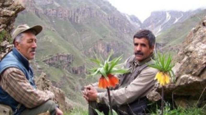 Hakkari&rsquo;de Ters Lalenin Yok Edilmesine Tepki