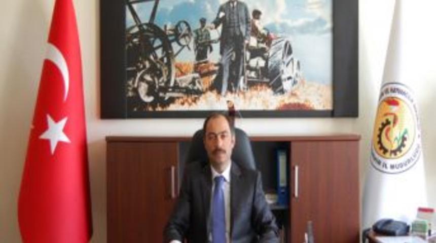 Nevşehir&rsquo;de 320 Bin Ton Patates &Uuml;retiliyor