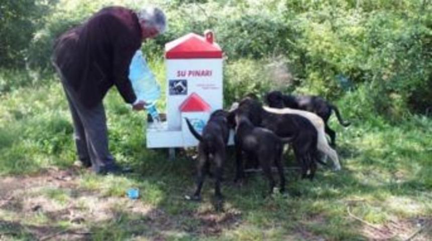 Yem Odakları Bakımdan Ge&ccedil;irildi