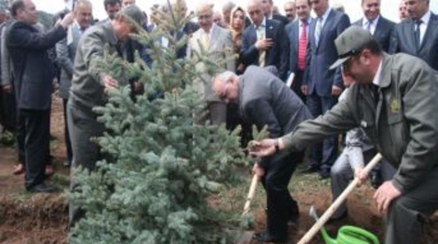 Ergan Kayak Merkezi&rsquo;nde Fidan Dikimi