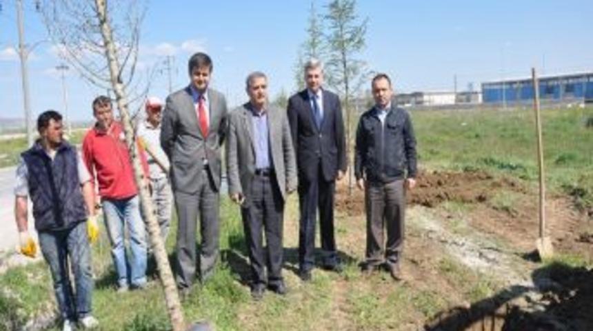 Afyonkarahisar Osb'de 6 Bin 500 Fidan Toprakla Buluşturulacak