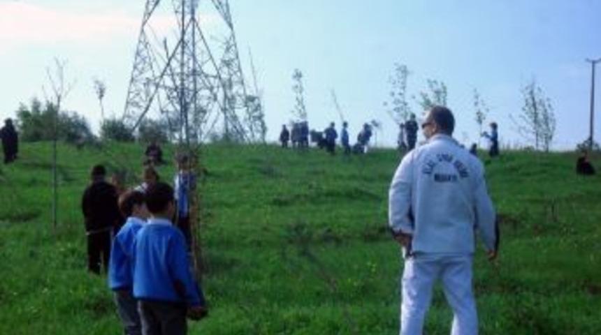 Karateciler Fidan Dikti