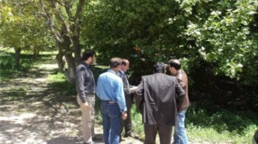 Ravanda &Ccedil;evresi Canlanıyor