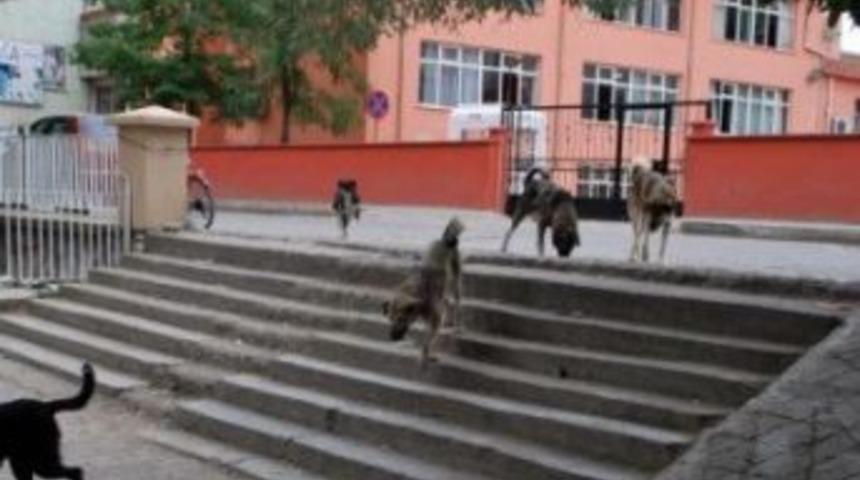 Ak Parti &Ccedil;ankaya İl&ccedil;e Başkanı S&uuml;leyman Yılmaz: