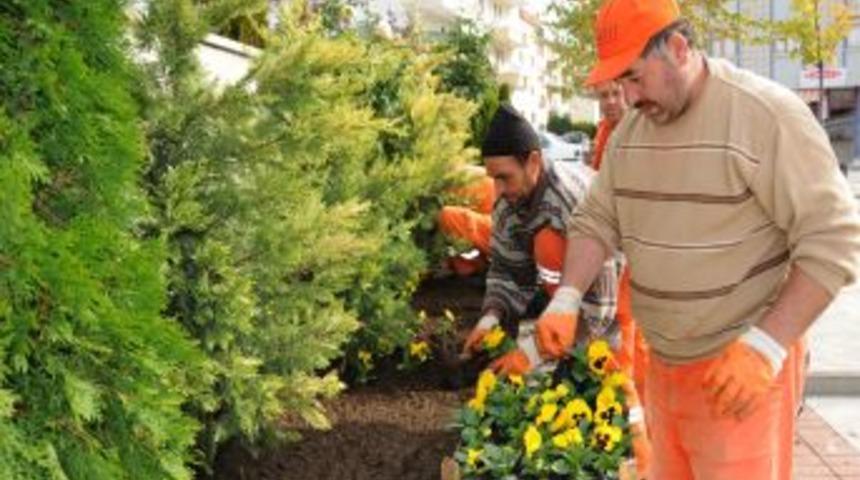 Pursaklar, &Ccedil;i&ccedil;ek A&ccedil;tı