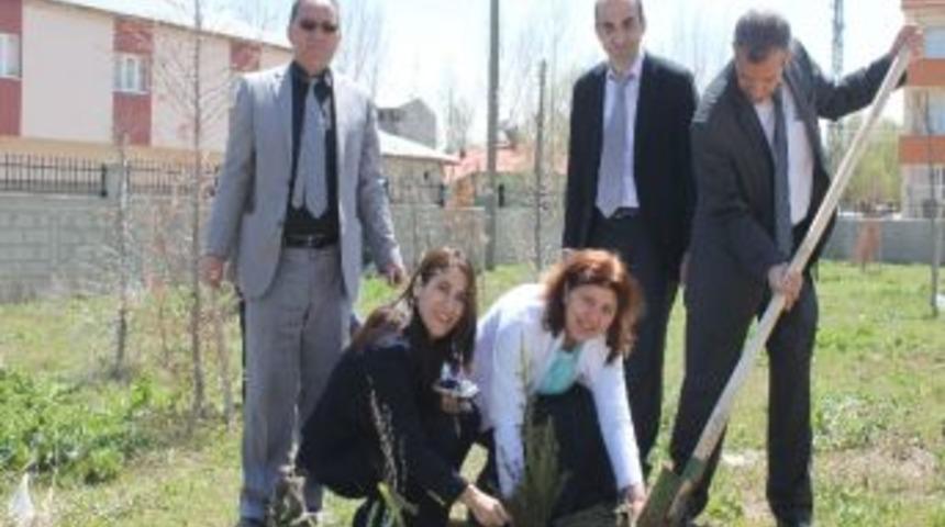 Bulanık Devlet Hastanesi Bah&ccedil;esine Bin Fidan Dikildi