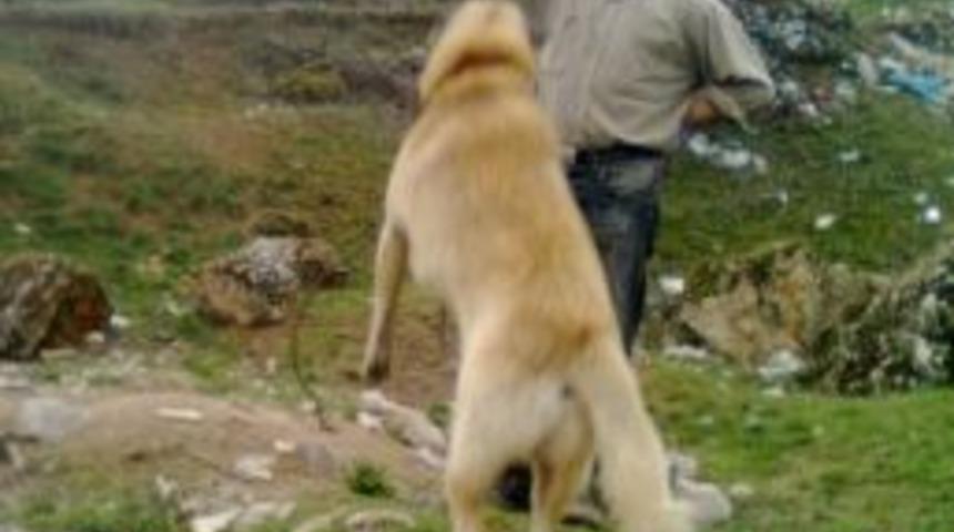 Hisarcık&rsquo;ta Miras Kavgası Kanlı Bitti