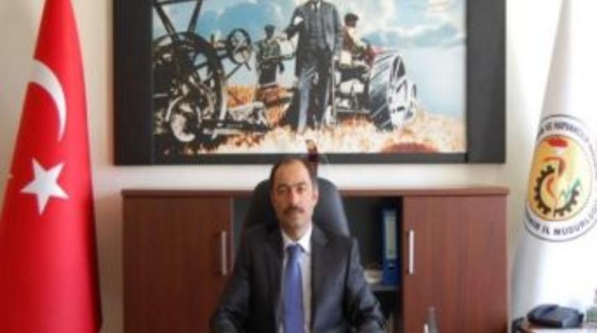 Patatesteki İhracat Artışı Sevindiriyor