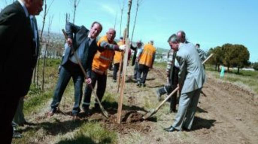 Kumburgaz&rsquo;da Piknik Havasında Ağa&ccedil; Dikimi