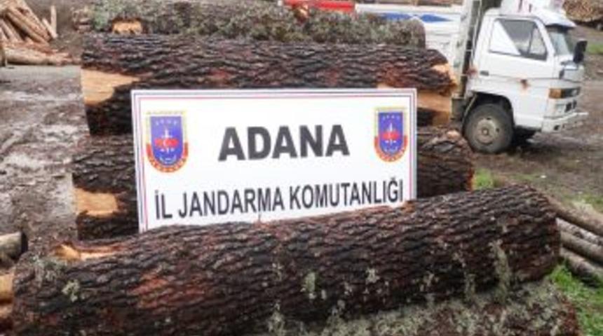Adana'da Ormanda Ka&ccedil;ak Kesim Yapan Iki Kişi Yakalandı