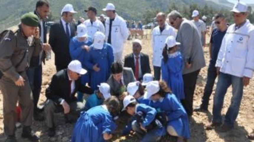 K&ouml;m&uuml;r &Uuml;retimi Tamamlanan Alanlar Doğaya Kazandırılıyor