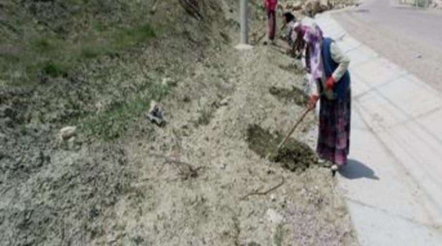 Eskigediz Belediyesi Ağa&ccedil;landırma &Ccedil;alışmalarına Hız Verdi