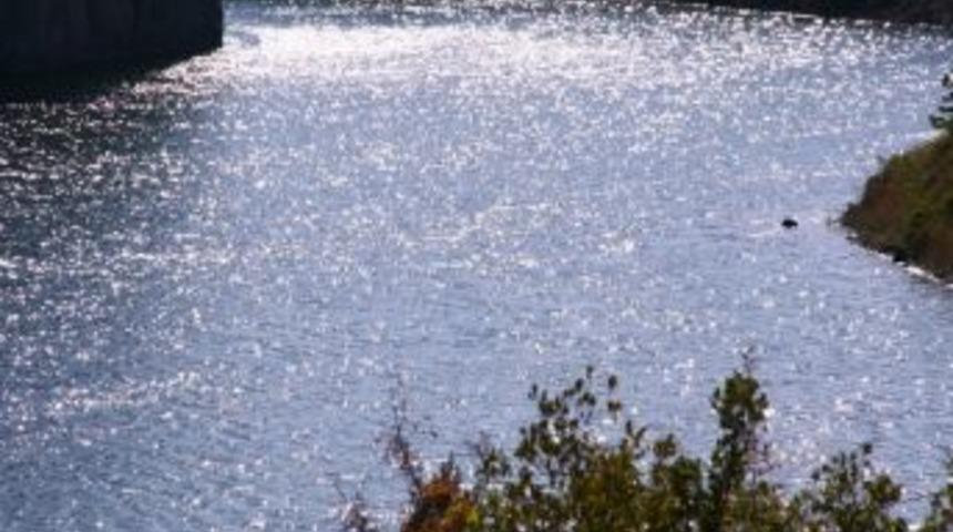 Su, 21. Y&uuml;zyılın Petrol&uuml; Olacak