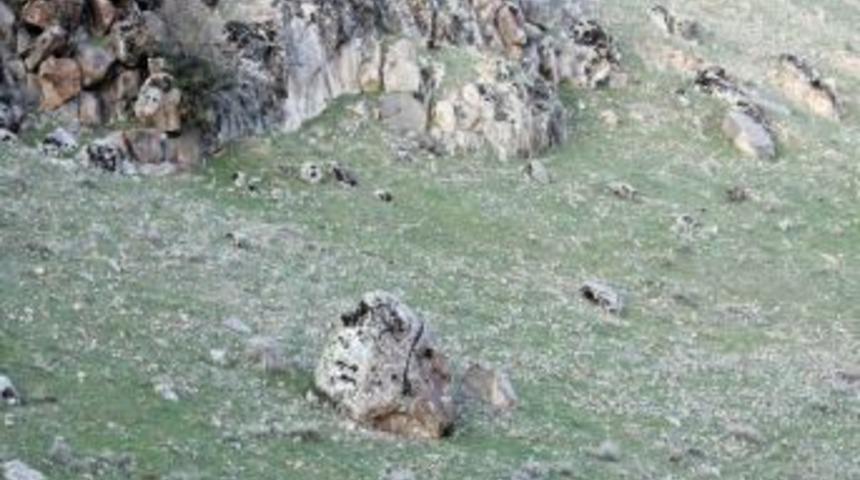 İnsan kafasını benzeyen kaya ilgi &ccedil;ekiyor