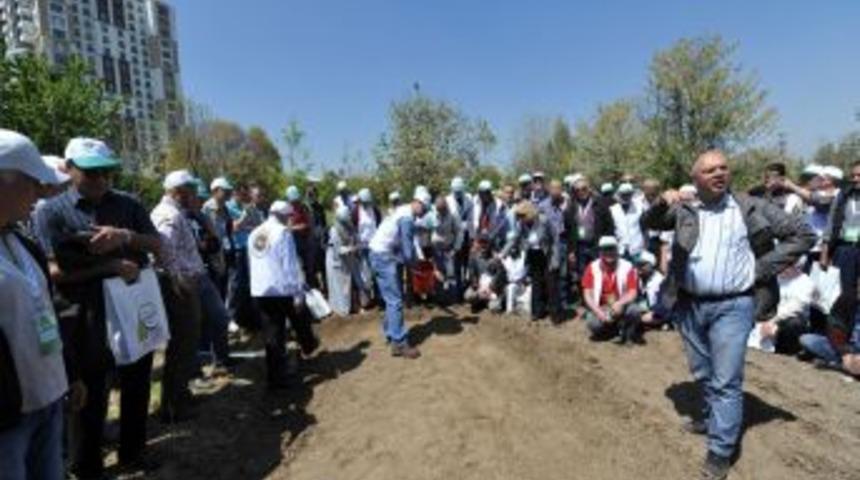 Bah&ccedil;ıvanlar Sahaya Indi