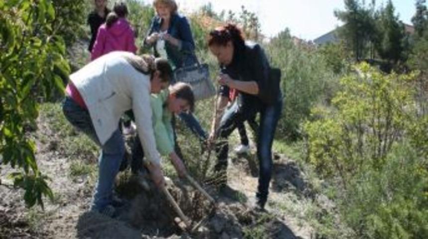 Karab&uuml;k&rsquo; Te &ldquo;t&uuml;rkiye Tataristen &Ccedil;ocukları Kardeşlik Ormanı&rdquo; Kuruldu