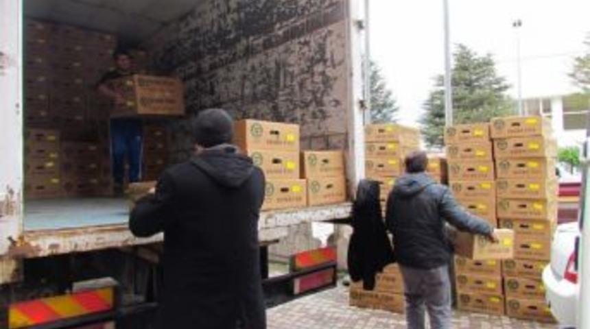 &Ccedil;ift&ccedil;ilere Domates Ve Birer Fidesi Dağıtıldı