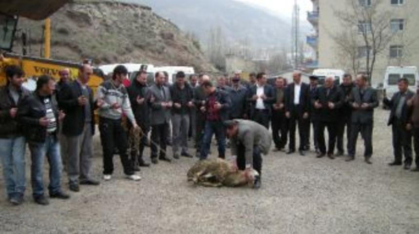 Greyder Tahsisine Davul Zurna Eşliğinde Halaylı Kutlama