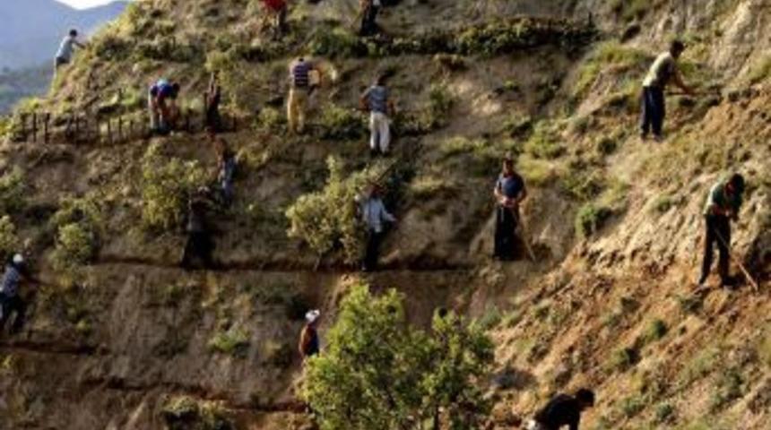 Bakanlık, 400 Baraja Orman Kuracak