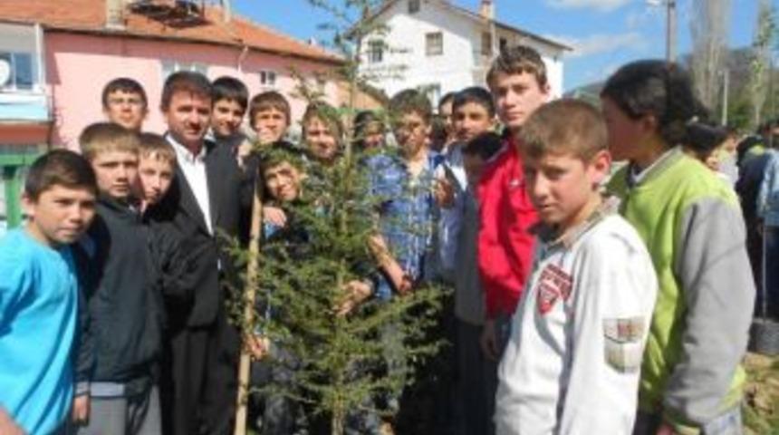 Fidanlar Okul Bah&ccedil;esinde Hayat Buldu