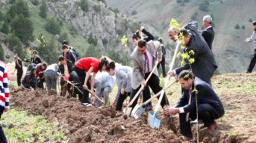 Ergan Dağı'nda Ağa&ccedil;landırma Seferberliği Başladı
