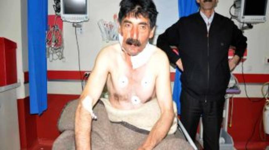 Muş'ta A&ccedil; Kurtlar 5 Kişiyi Yaraladı