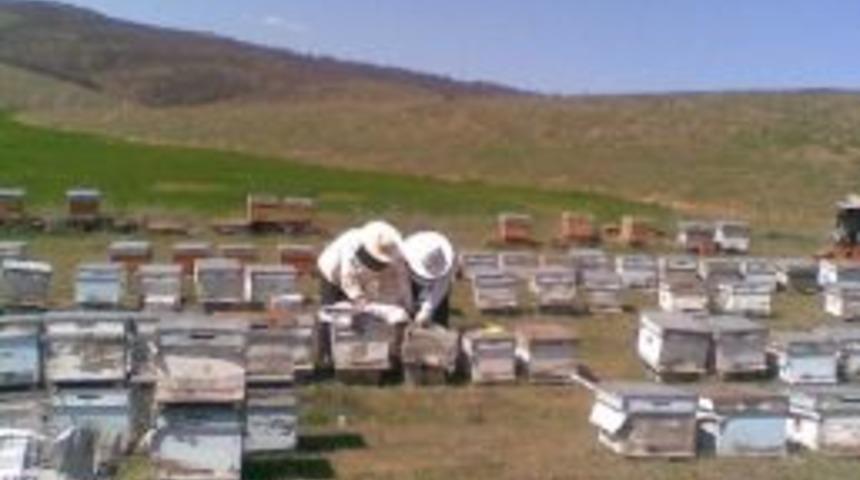 Mevsimlerin Değişmesi Arıcıların İşine Yaradı