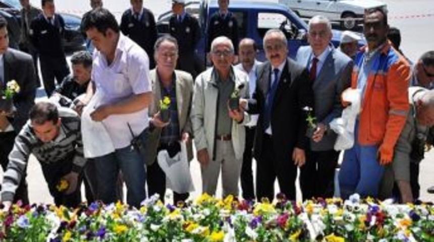 Tosya&rsquo;da 10 Bin &Ccedil;i&ccedil;ek 10 Dakikada Bitti