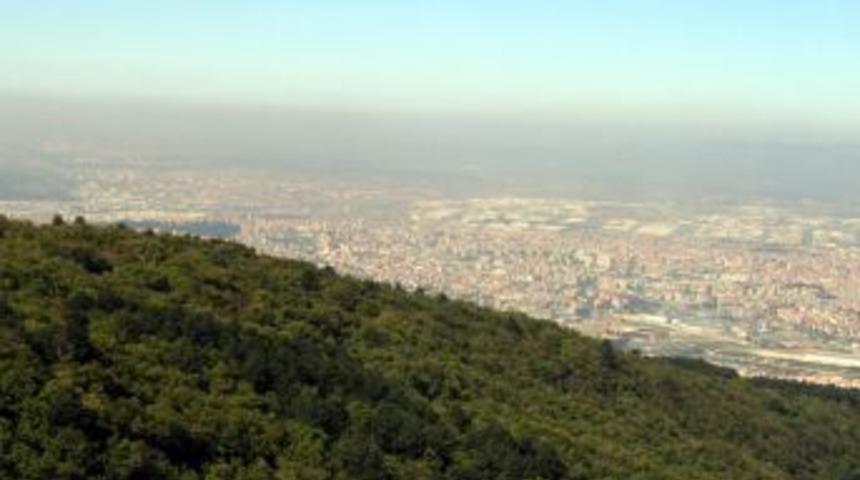 Bursa&rsquo;nın Y&uuml;zde 45&rsquo;i Orman