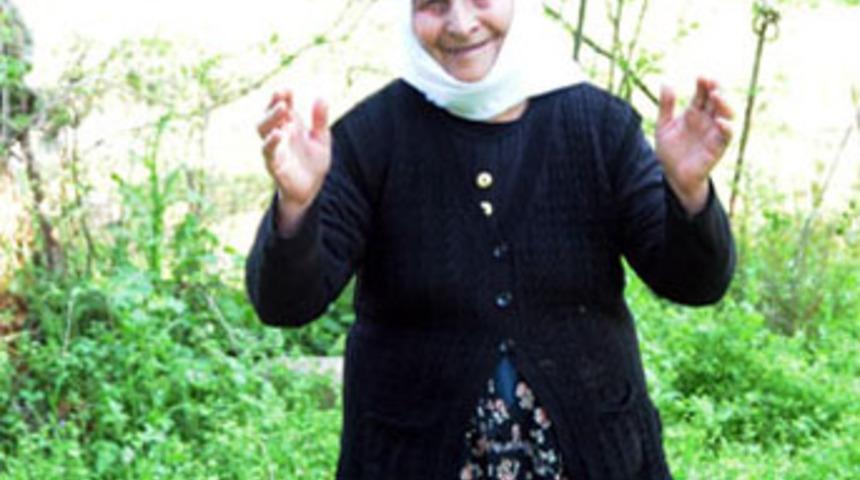 Elektronik kelep&ccedil;eli nineye bah&ccedil;e izni