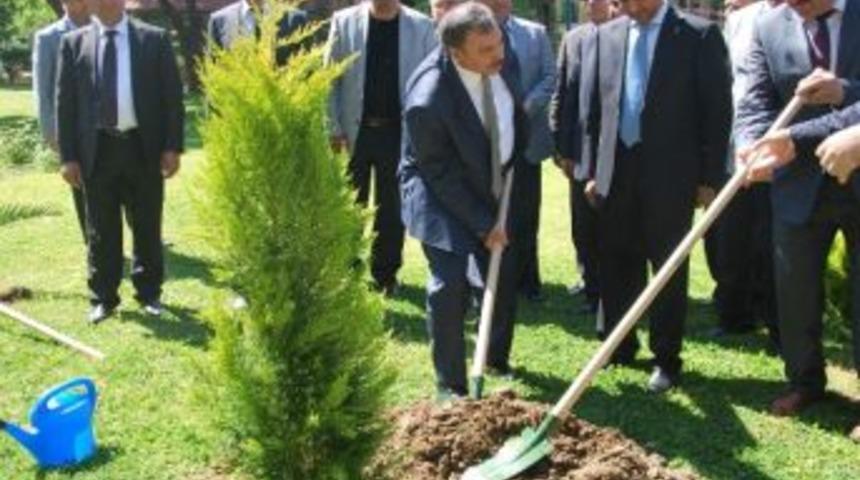 Bakan Eroğlu Aydın&rsquo;da Fidan Dikti
