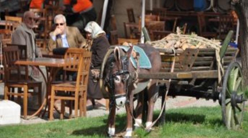Odunpazarı Meydanındaki At Ve Eşek Heykelleri İlgi Odağı