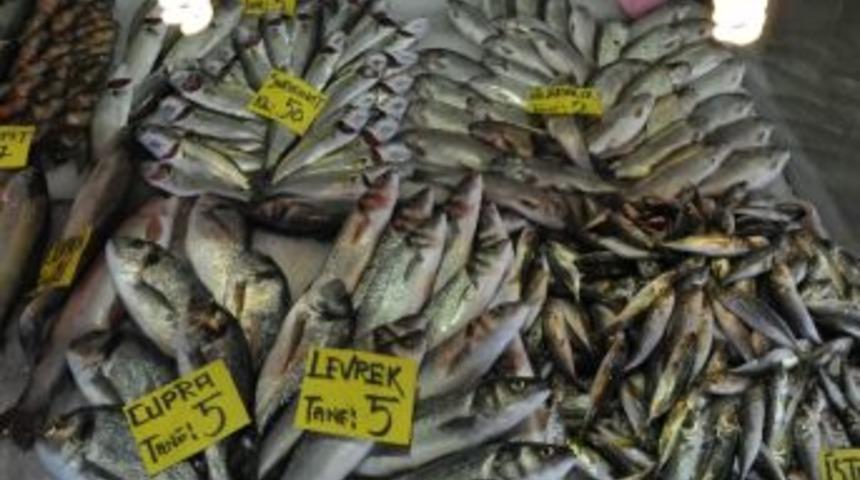 Bu Hafta Zam Şampiyonu Sarıkanat Oldu