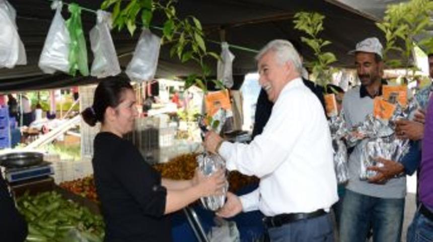 B&uuml;y&uuml;kşehir 20 Bin Turun&ccedil; Fidanı Dağıttı