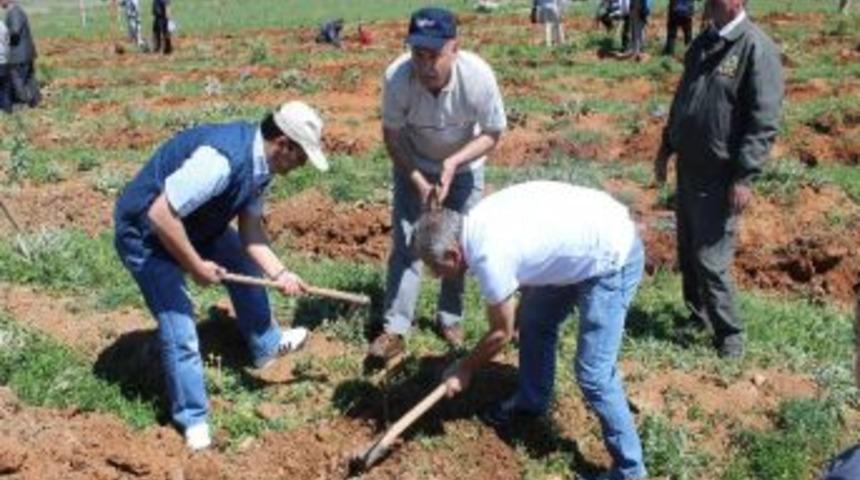 Beyşehir&rsquo;de Fidan Dikme Şenliği