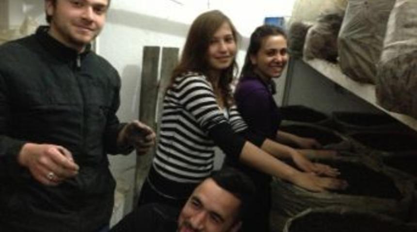 Mantar Yetiştiriciliğini Kendileri &Uuml;reterek &Ouml;ğreniyorlar