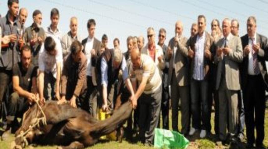 Adalet Konutlarının Temeli Atıldı