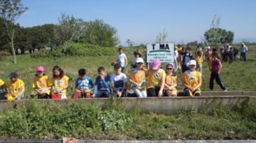 Minikler Fidan Dikti