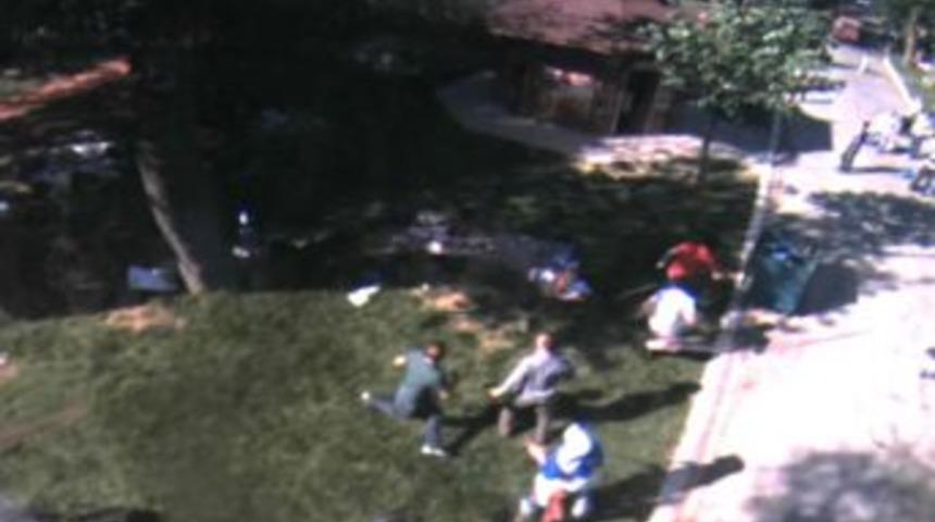 Piknik Alanındaki Ağa&ccedil; Faciası Kamerada