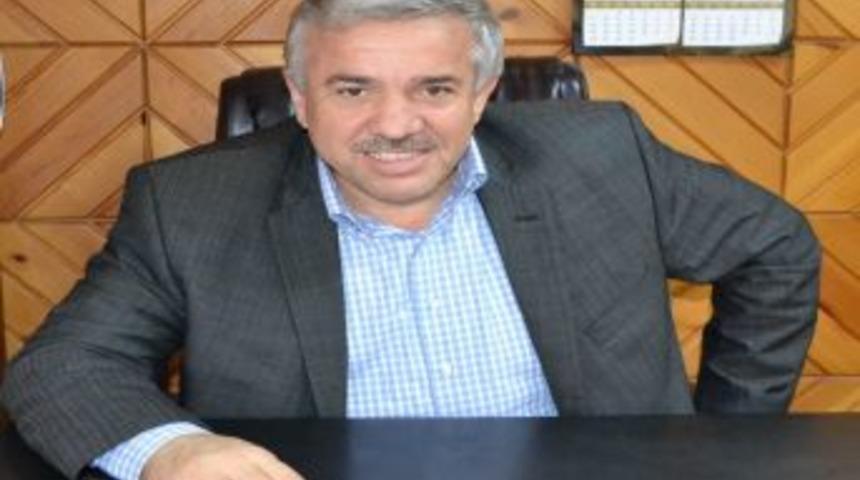 &Ouml;rnek Fındık Bah&ccedil;eleri