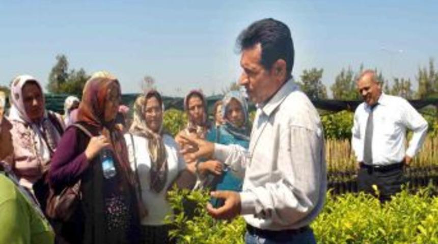 Mersin'de Kadın &Ccedil;ift&ccedil;iler Eğitiliyor