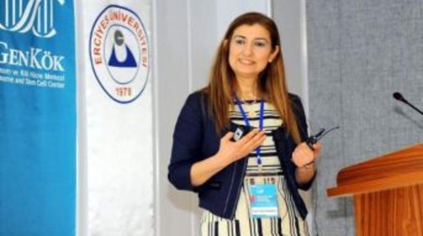 K&ouml;k H&uuml;cre Nakline Dikkat