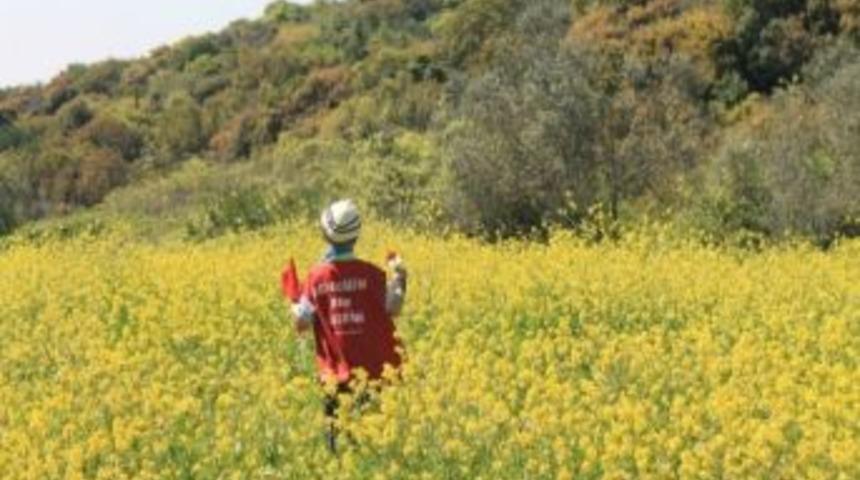 İzciler Dedelerinin İzinde